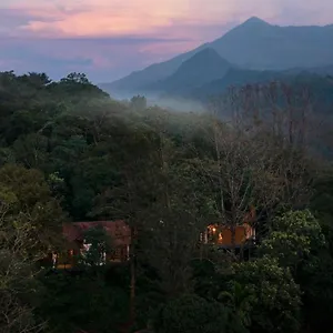 Mist Resort Vythiri